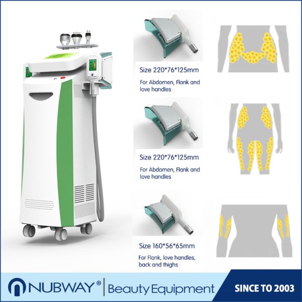 Cool sculpting fat reduction cryolipolysis slimming machine chinese professional