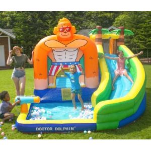 Doctor Dolphin Inflatable Water Slide For Toddler Water Bounce House With Splash