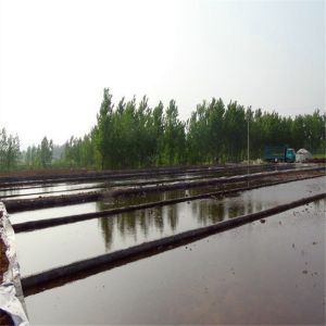 Waterproof HDPE/LLDPE/EVA Geomembrane Sheet 0.75mm-3mm Thickness for Waterproofi