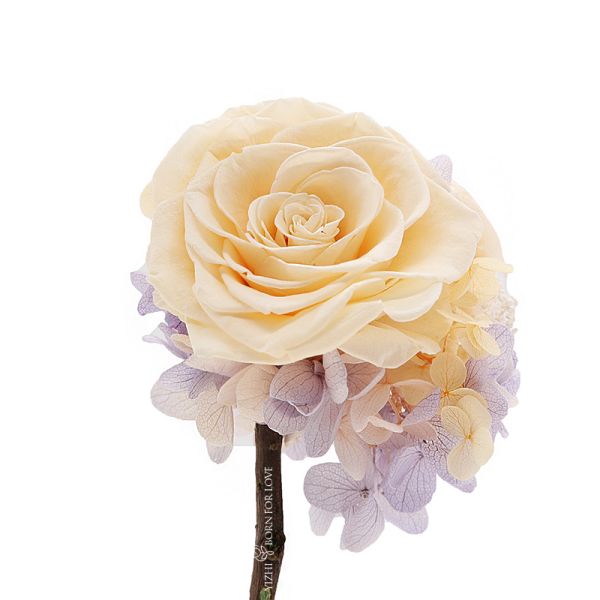 Home Decor Colorful Preserved Rose In A Glass Dome 7cm-8cm