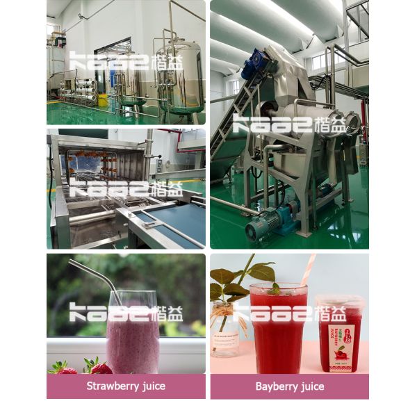 Fruit Jam Berry Juicer Machine Cherry Berry Jam Processing Line Marmalade Producing Plant Machine