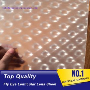 Wholesale PLASTIC LENTICULAR flyeye lenticular sheet fly eye 3d pp lens array for packaging box decoration from china suppliers