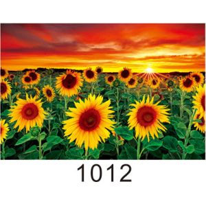 Environmentally Friendly 3d Lenticular Photo / Custom Lenticular Printing