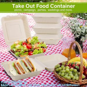 100% Compostable Clamshell Take Out Food Containers [8X8" 3-Compartment 50-Pack]
