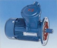 YT Top manufacturer Explosion-proof wire rope electric hoist for sale with hook