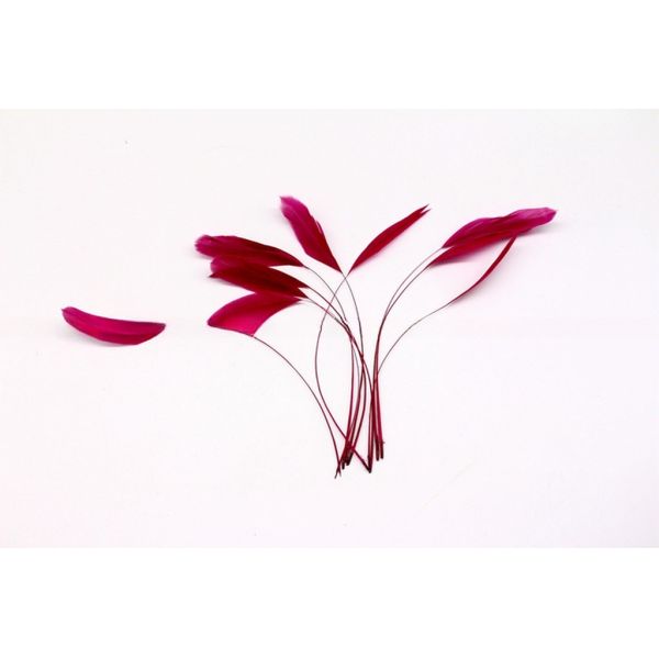 Stripped Rooster Coque Feather in Dyed Pattern for Chicken Feather Benefit