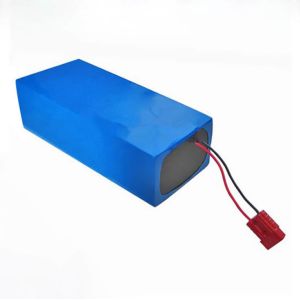 24V 20AH Lithium Iron Phosphate Battery Pack with Durable ABS Case for