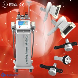 China 2014 cheapest lipo laser cryolipolysis,cryolipolysis fat slimming machine China on sale