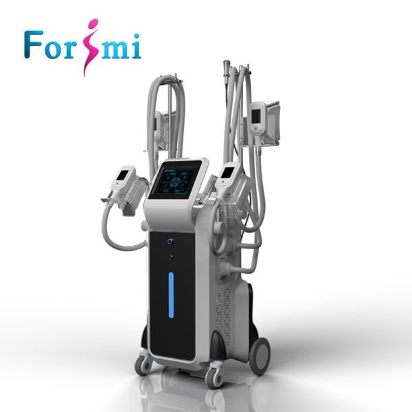 Quality 2018 newest no side effect Max -15 Celsius popular hot selling fat removal cryolipolysis 4 head for sale