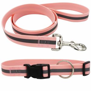 Durable Waterproof Dog Collar And Leash , Reflective Pet Training Leash