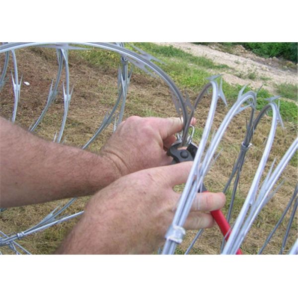 Blade Barbed Wire With 0.5mm Barbe