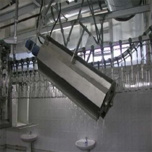 Small and Large Chicken Turkey Killing Processing Killing Slaughter Processing