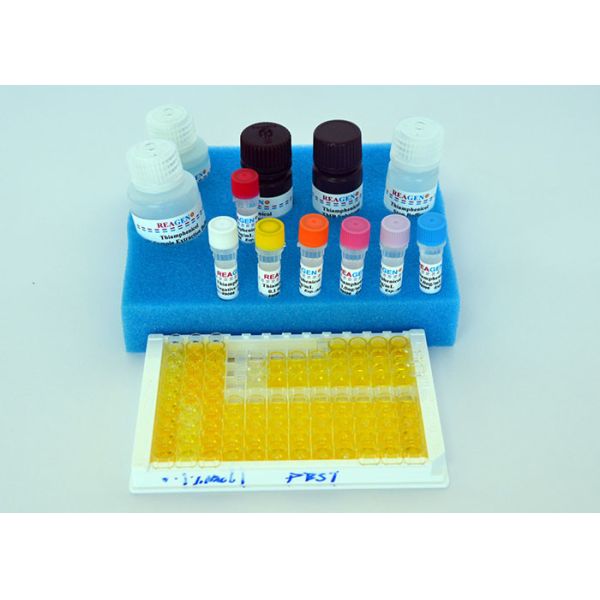 Quality High Recovery Rate Estrogen ELISA Kit / Diazepam ELISA Testing Kit for sale