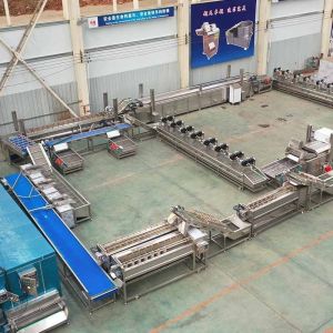 Automatic Potato Processing Equipment with and Customized Processing Technology