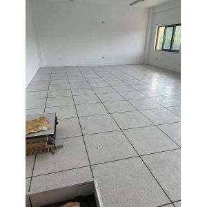 Dirt-Proof Raised Access Floor for Data Center