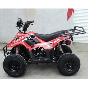 70CC / 90CC / 110CC Single Cylinder Four Stroke Atv With Front Double Swing Arm