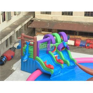 Giant Outdoor Inflatable Water Park , Custom Children Octopus Water Slide