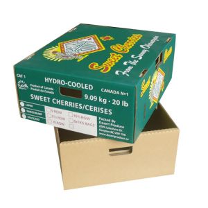 Fruit vegetable corrugated paper carton paper box on hot sales competitive price