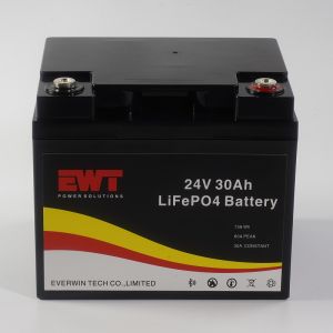 China Industrial 24V Lithium Iron Phosphate Battery with 30A Maximum Continuous Discharge Current -20°C To 45°C and CE Certification on sale