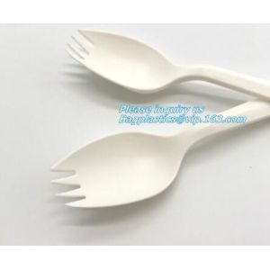 FDA Paper Cup Biodegradable Disposable Sugarcane Bagasse Coffee Cup,100%