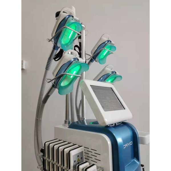 Skin Tightening Cryolipolysis Slimming Machine RF Vacuum 360 Fat Freezing Device