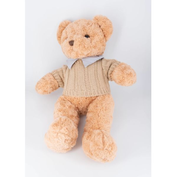 All Ages Soft Plush Toys Teddy Bear Personalized Text Image And Outfits For