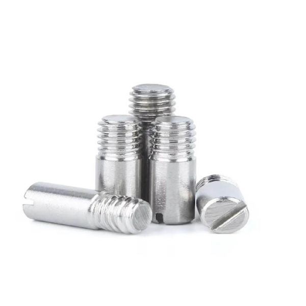 Stainless Steel SS304 SS316 SS316L A2-70 Parallel Pins With External Thread