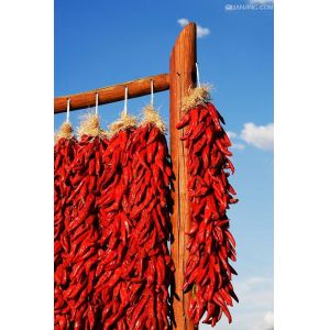 20000SHU Sanying Tianjin Red Chilies HACCP KOSHER Certificate