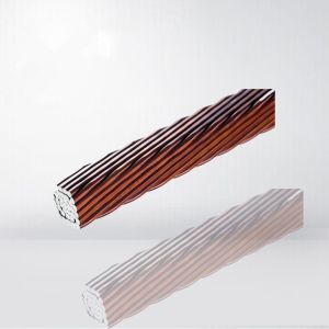 Continuously Transposed Paper Insulated Copper Wire High Frequency Copper Litz