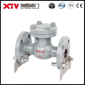 Stainless Steel Swing Check Valve 8481804090 For Industrial Usage
