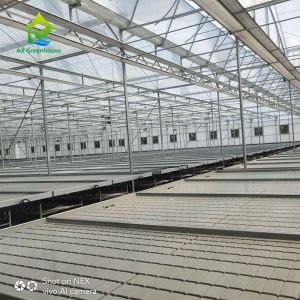 Adjustable Greenhouse Rolling Benches 4x8 Ebb And Flow Table