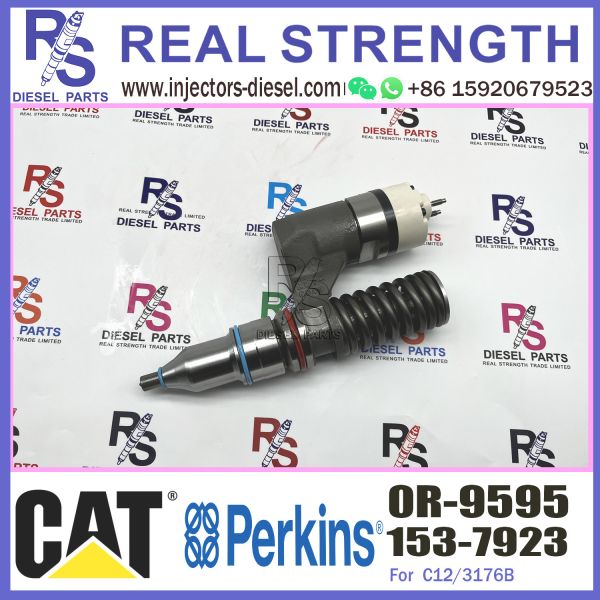 CAT Diesel Engine Parts 3176 C12 Fuel Injector Assy 116-8866 153-7923 0R-9595