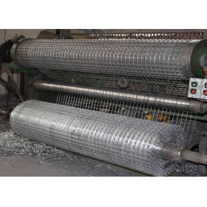 Lawn Edging BWG16 Electro Galvanized Wire Mesh Rolls
