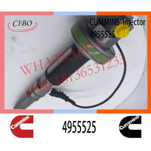 Wholesale Diesel Engine Common Rail Fuel Injector 4955525 4918072 2861749 4964170 4964172 from china suppliers