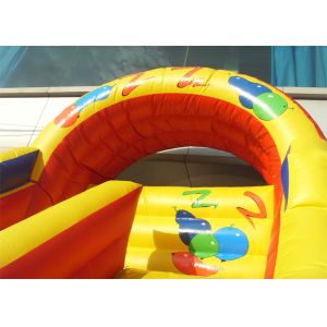 Small Commercial Inflatable Slides Environmental PVC for Child