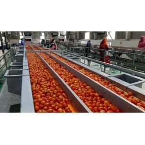 Tomato Paste Pear Pineapple Apple Juice Processing Line Electric
