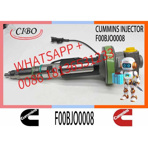 Fuel Injector Assembly F00BJO0008 F00BJ00009 Y431K05429 Y431KO5205 Y431K05420 Y431KO5417 For Qsk19 Engine