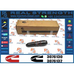 Fuel Injector Valve 3095773 3071497 3087587 3076703 3076132 3076130 for Cummins