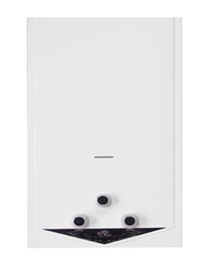 Flue Type Instant Tankless Gas Water Heater 6L-12L For Shower