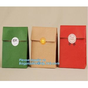 Flat Paper Handle Customized Design Shopping Gift Printed Kraft Paper Bag,ECO