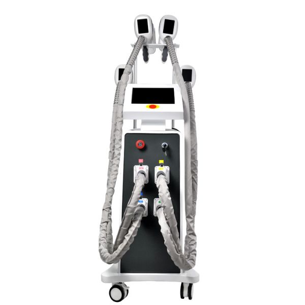 Fat Freeze Cryolipolysis Slimming Machine 800W OEM