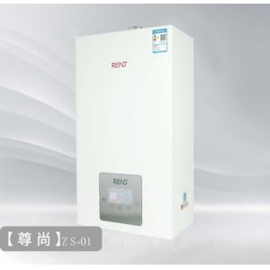 LPG High Efficiency Wall Hung Boiler Imported Components Instant Propane Water