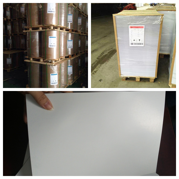 C2S art paper 90 - 350gsm Glossy White Paper In Jumbo Roll For Magazine / Calendar