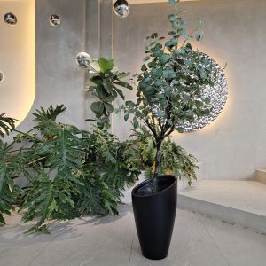 Modern Fiberglass Rectangular Flower Pots With Matte Finish