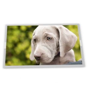 Wholesale High Resolution ODM Custom 20.1-Inch WLED LCD Display Module LQ201U1LW32 Specific Application 1600*1200 Specific LCD Modules from china suppliers