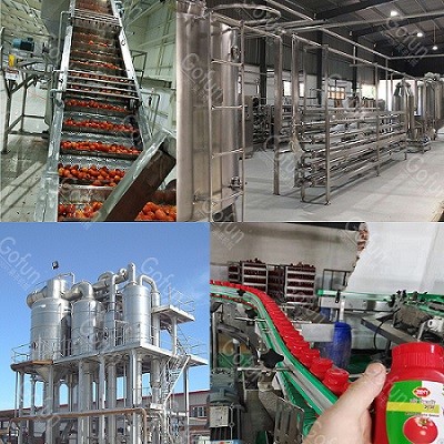 Quality 10T/H Tomato Paste Processing Line SUS 304 Pulping Refining for sale