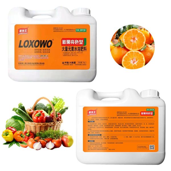 Fast Release Potassium Sulphate Fertilizer Water Soluble Compound