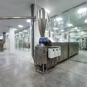 Fully Semi Automatic Garlic Powder Fruit Vegetable Processing Line AC380V