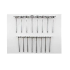 Q5 A4 A5 A6 S6 Engine Intake Valve 06D109601M 06D109601M 06D109611L 06D109611T