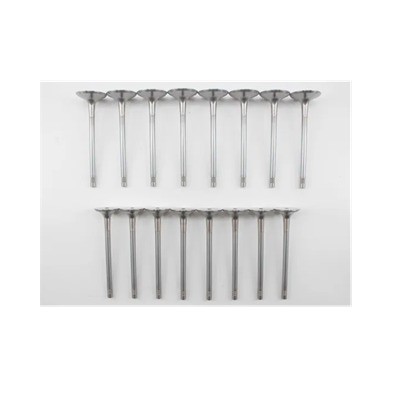 Q5 A4 A5 A6 S6 Engine Intake Valve 06D109601M 06D109601M 06D109611L 06D109611T